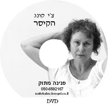המלצות תרגול עם הדיסקים