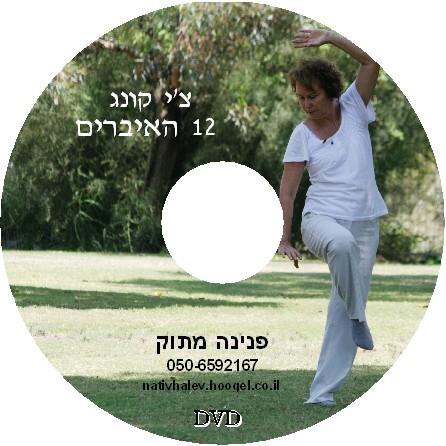 המלצות תרגול עם הדיסקים