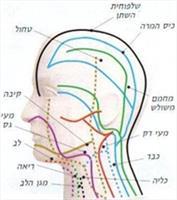 איזון מרידיאנים