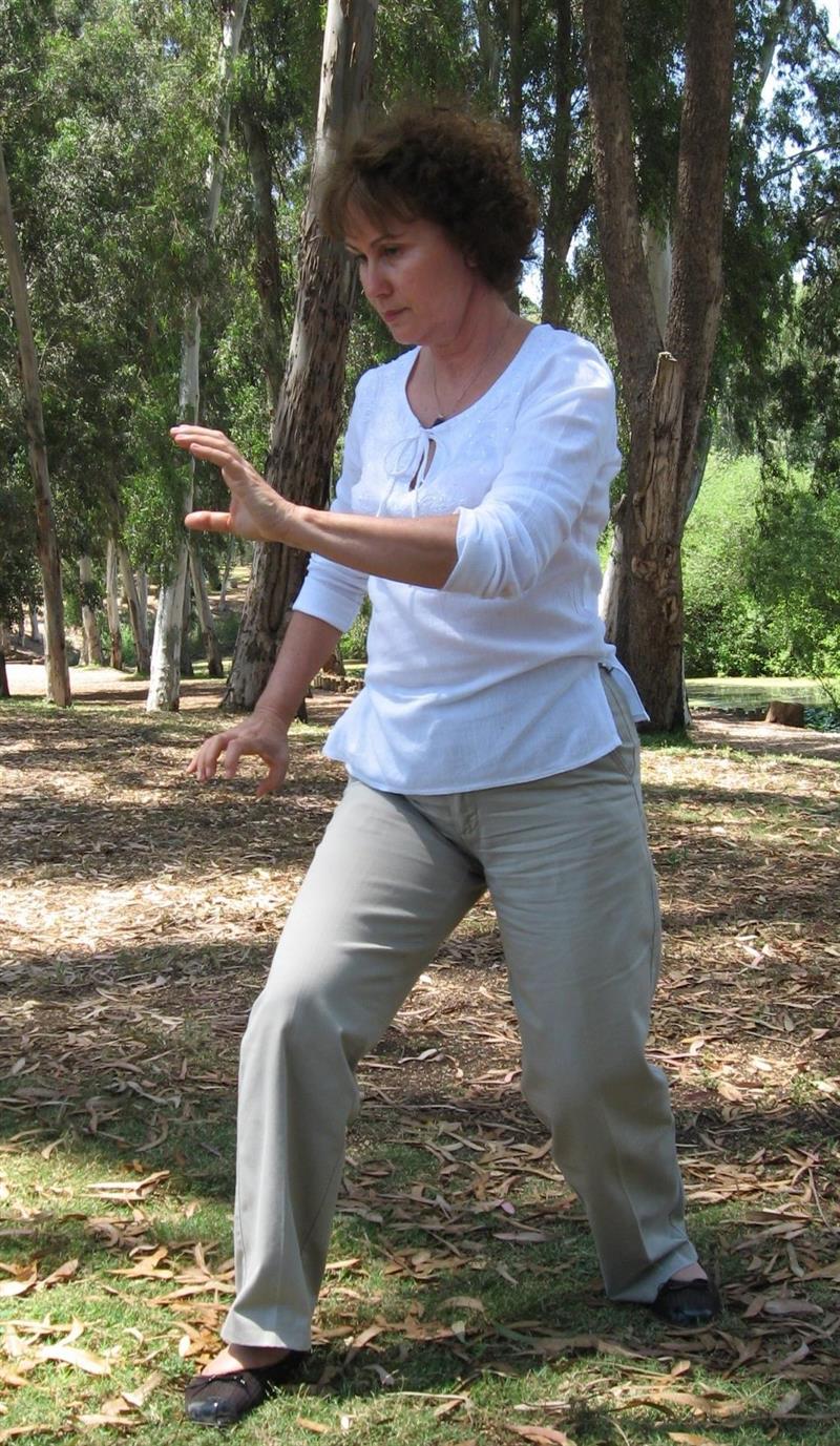 הנמר והסתו